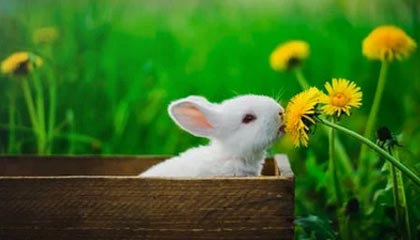 _爱游戏官方_ 中国各地足球场地建设持续推进_，全国足球场地建设规划