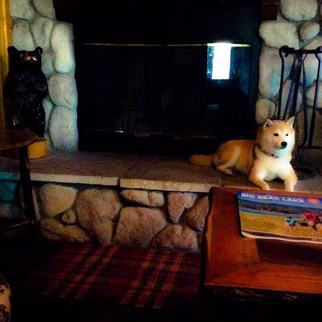 “攻势如潮，比分持续飙升！谁能守住领先优势？”，即时比分查询