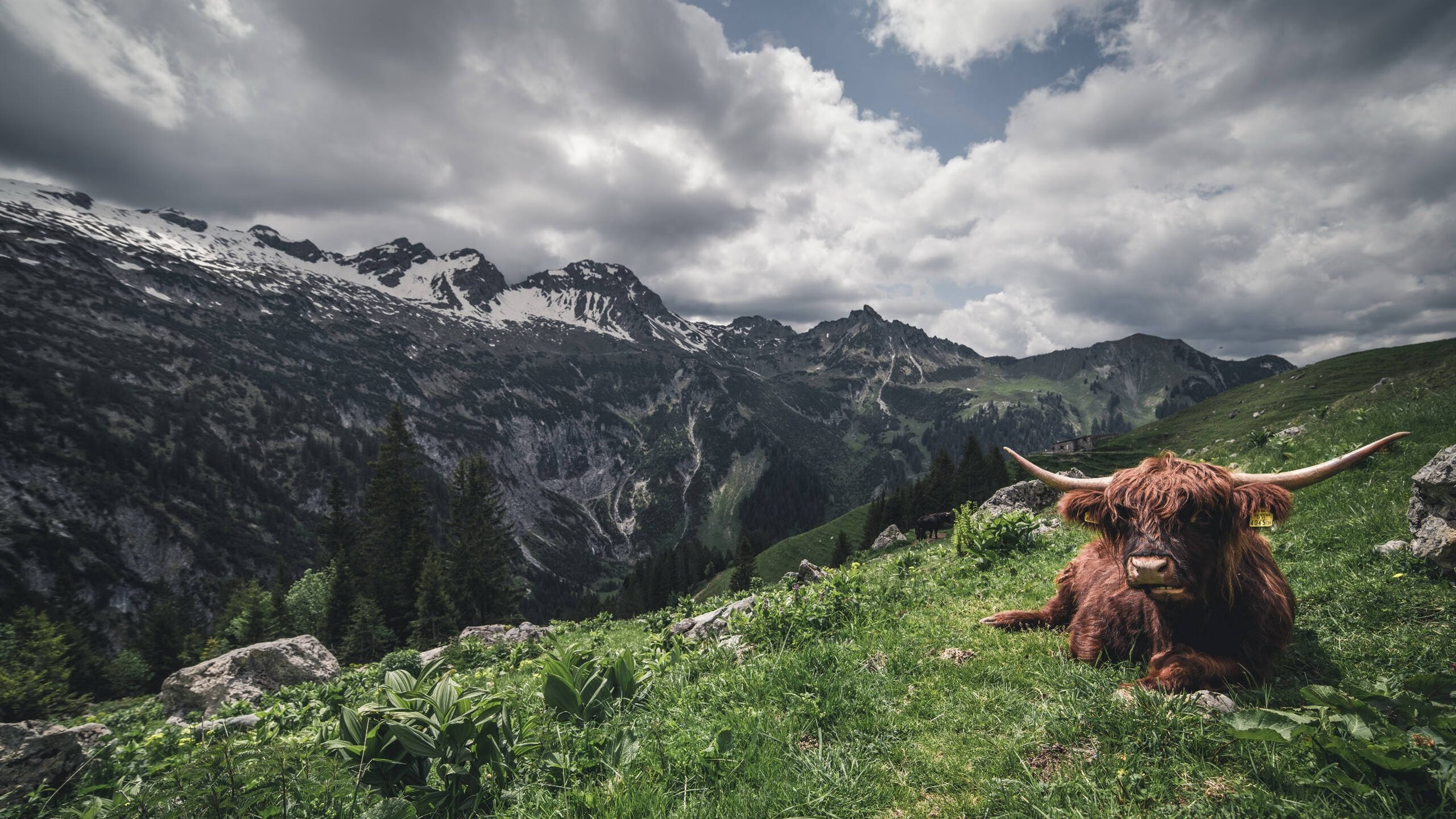 球队管理层新战略，未来建队方向已明确，球队管理者