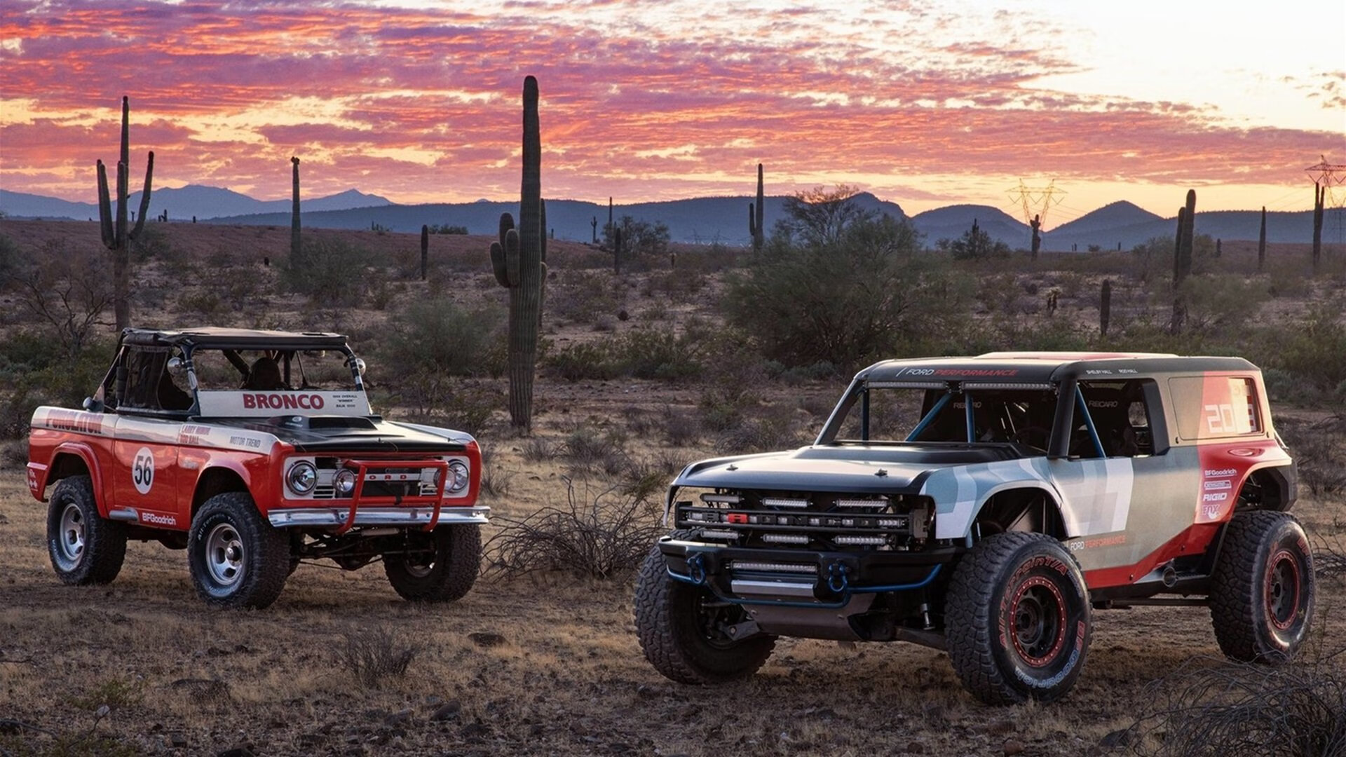 中国足球推动体育高校深度合作,国家关于足球特色学校跟足球青训机构合作的文件