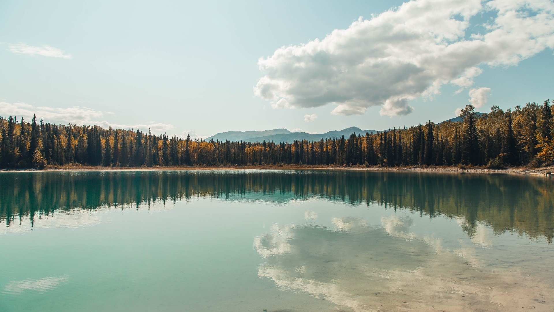 体育球员表现提升助球队冲击冠军，球员总结