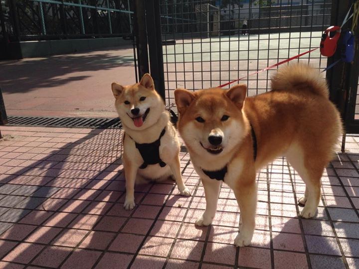 塞内加尔女足表现不俗,小组第三晋级,塞内加尔国足