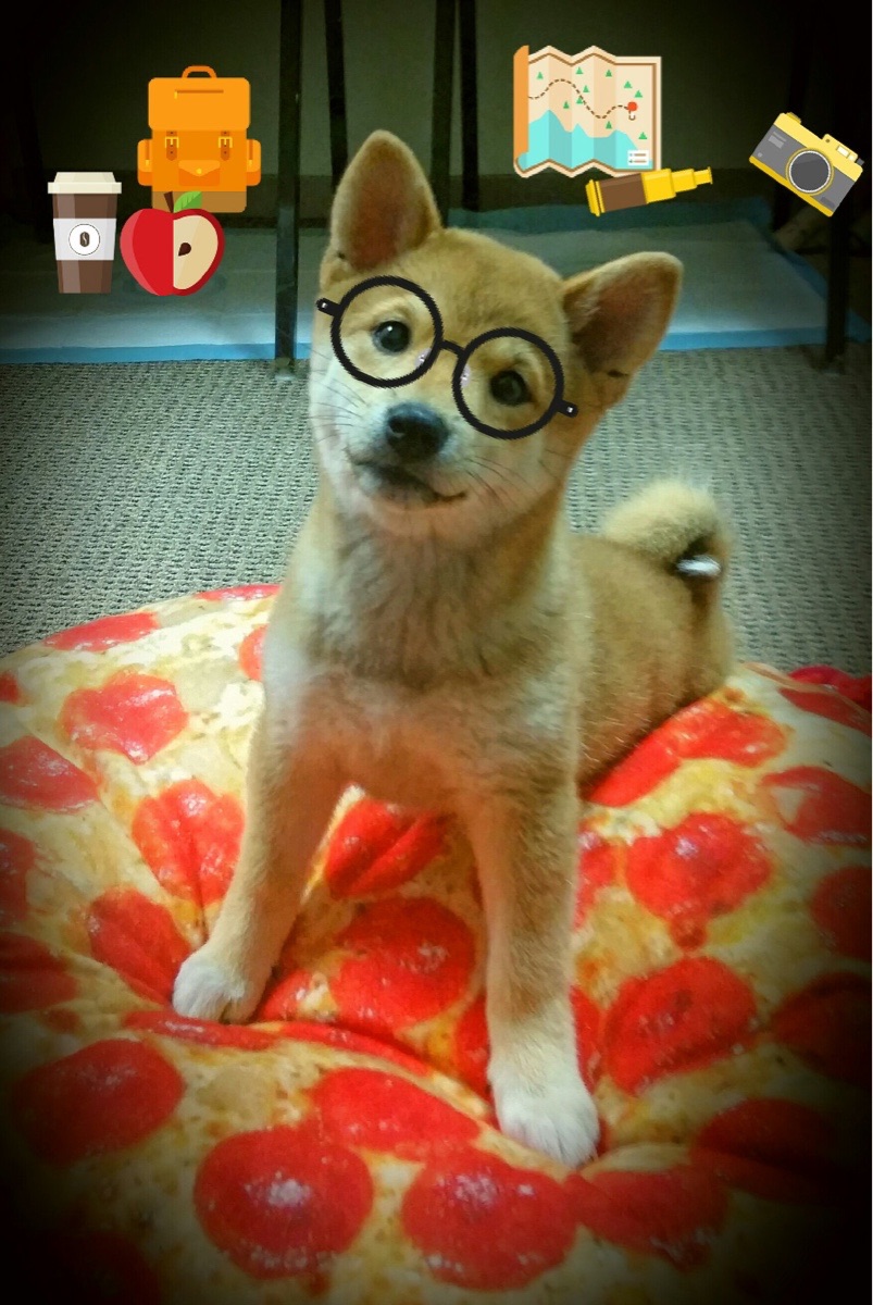 狼队遭遇尴尬连败,保级形势日益危急,狼队qg