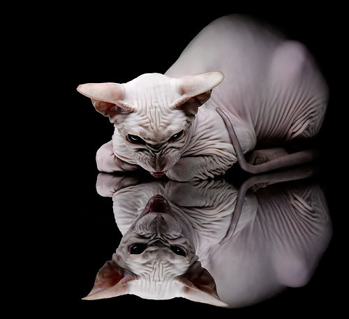 精彩羽毛球国家队训练全曝光，羽毛球国家队训练方法