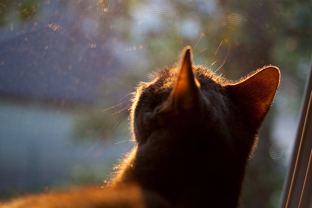 中超各俱乐部场地适应性数据汇总，中超足球场地