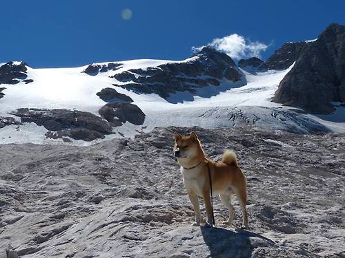 法甲巴黎圣日耳曼商业多元化模式分析,巴黎圣日耳曼四巨头