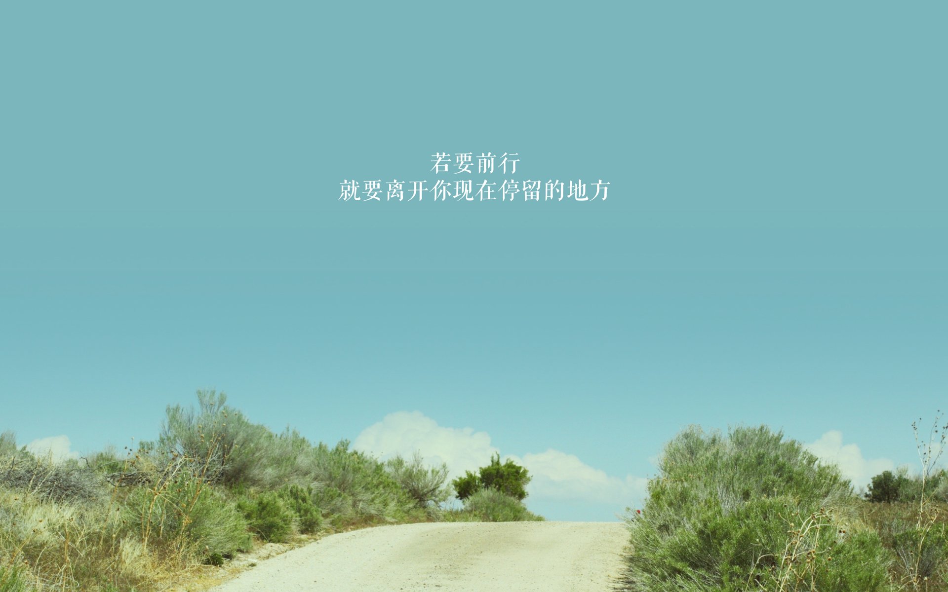 篮球专项技能动作的动作学分析与训练改进,篮球的专项技术动作