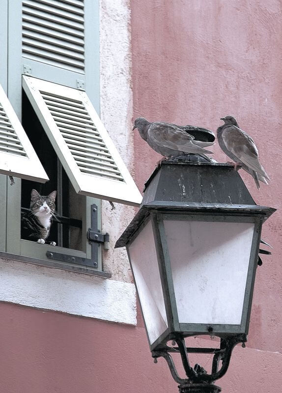 英超青训营引入虚拟现实技术强化战术理解与应用,英超训练基地