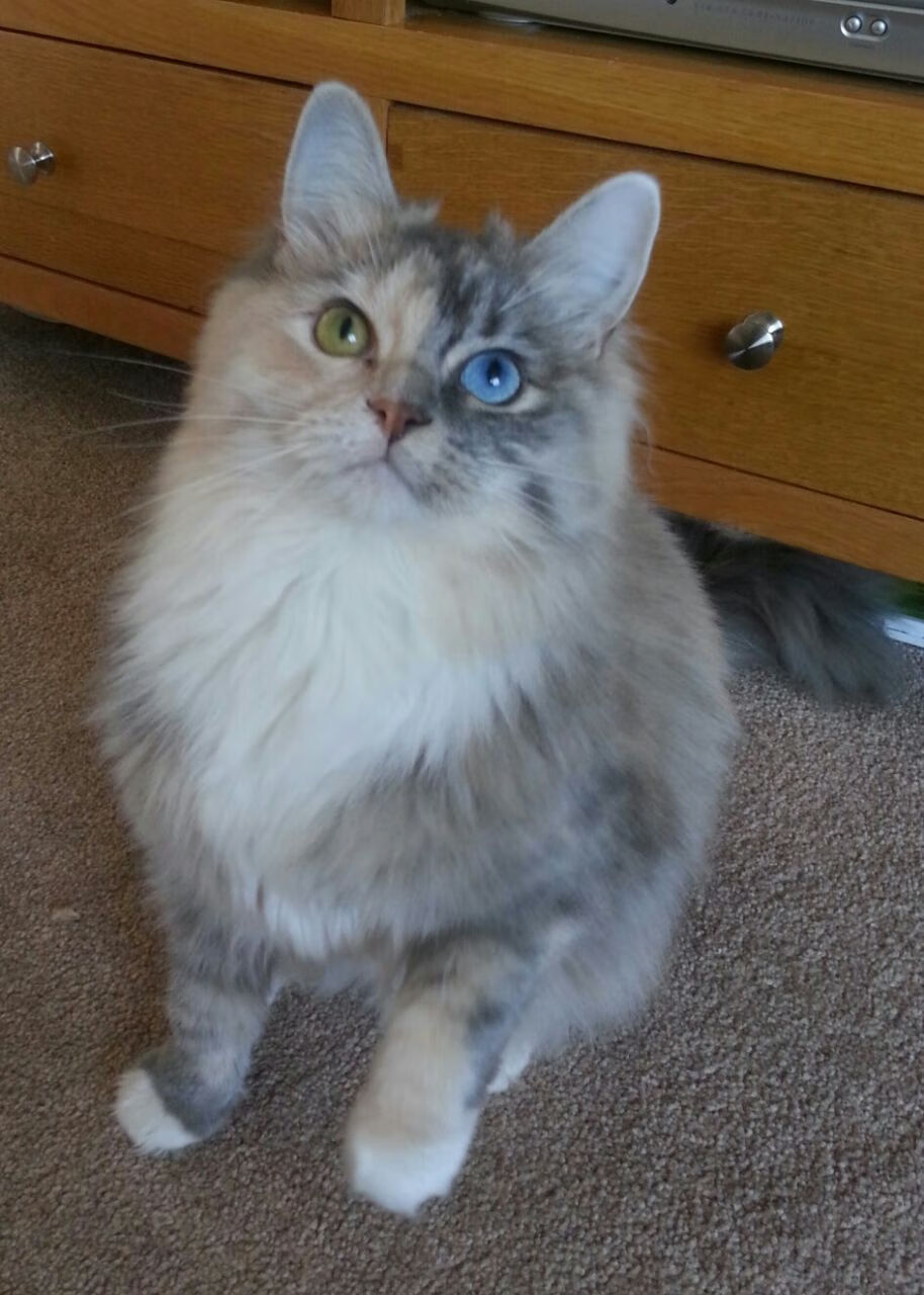 浙江雄狮开局阶段强势带动全队节奏,浙江雄狮工贸有限公司