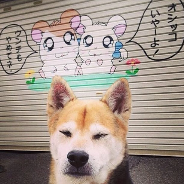 青少年体育赛事覆盖面扩大，青少年体育大联赛