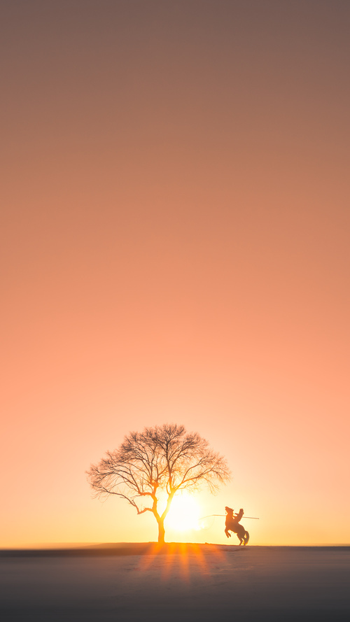 卡特的踢球节奏变化多端，令对方防守无法预料，卡特打球视频