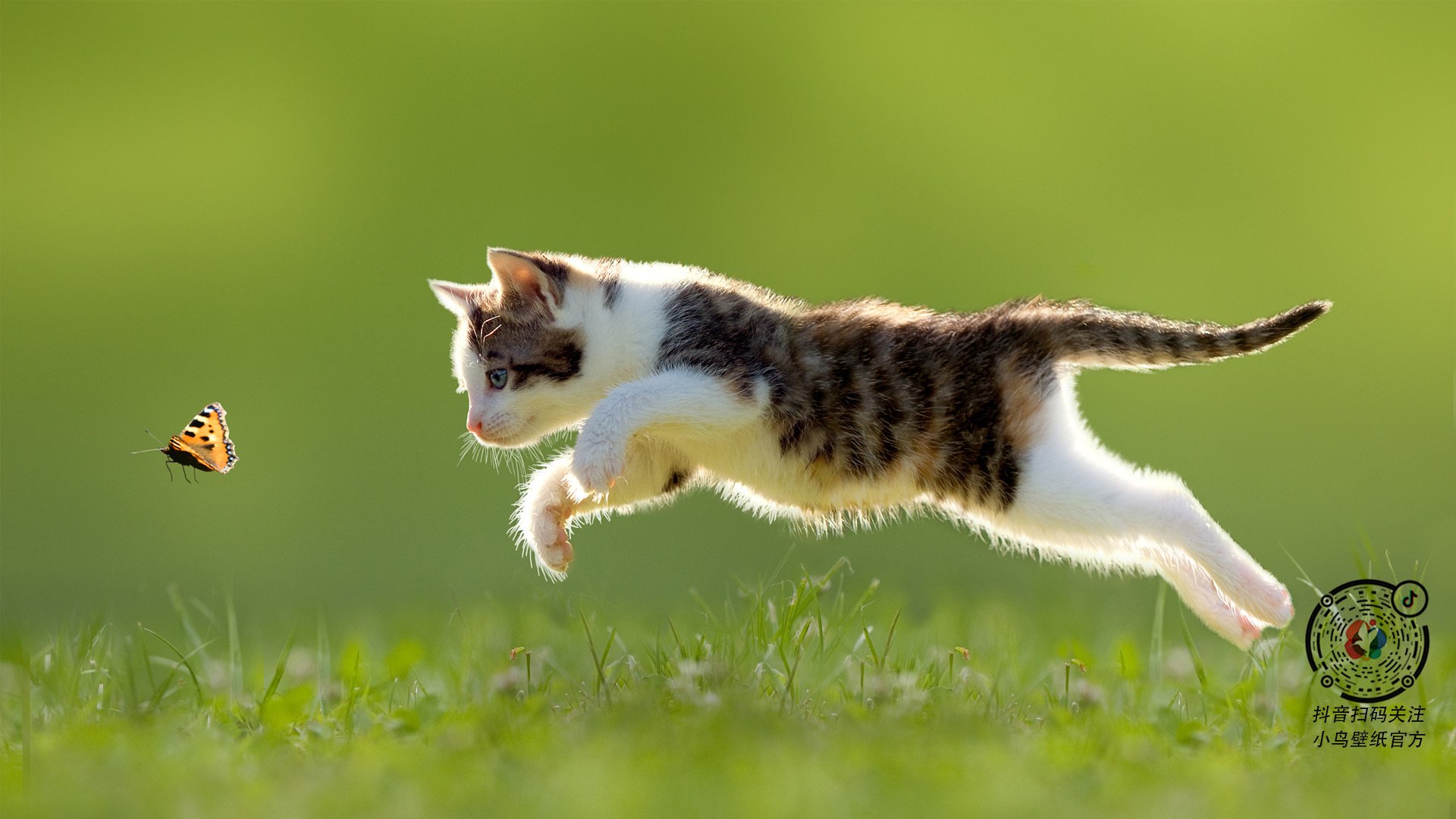 林丹谈新手训练要从控球节奏入门,林丹击球动作