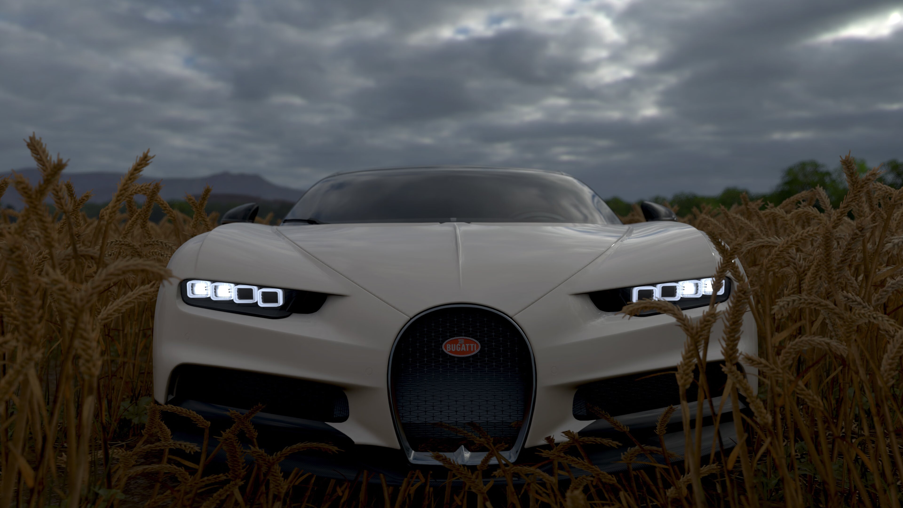 格鲁吉亚女篮在欧洲锦标赛中夺冠，迎来崭新高度，格鲁吉亚女子联赛