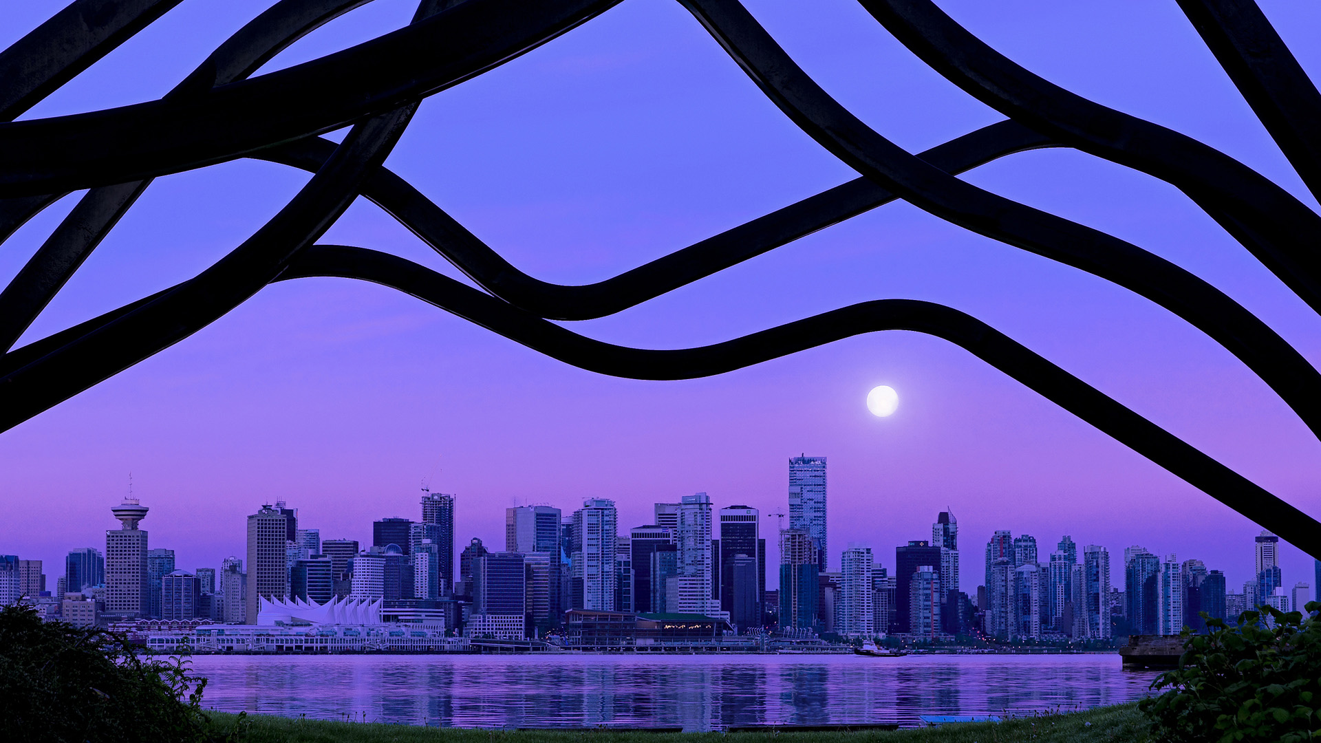 自由泳接力中立代表队A团队默契十足，自由泳接力赛队员排序