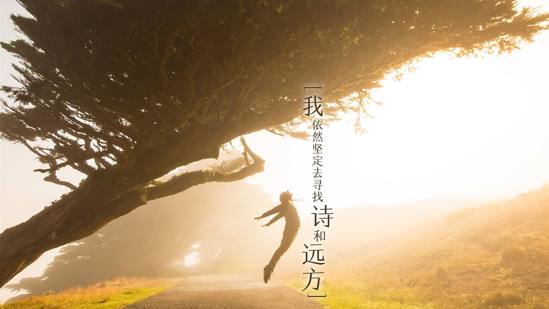 西甲高科技设备的实际应用效果,西甲高科技设备的实际应用效果是什么