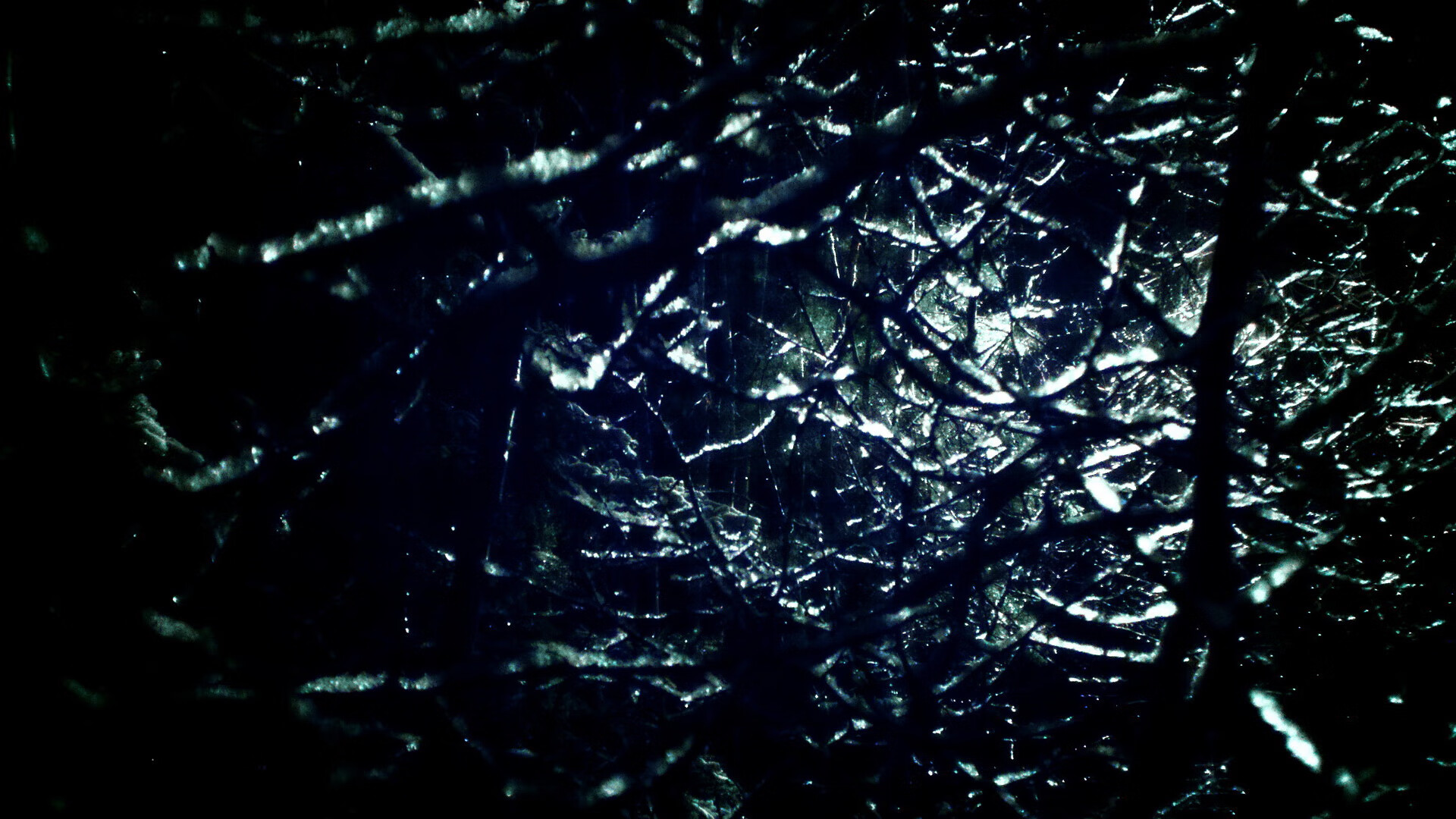 里根·史密斯女子50米仰泳决赛夺冠瞬间，雷根史密斯200米仰泳